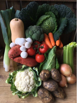 Large Vegetable Box