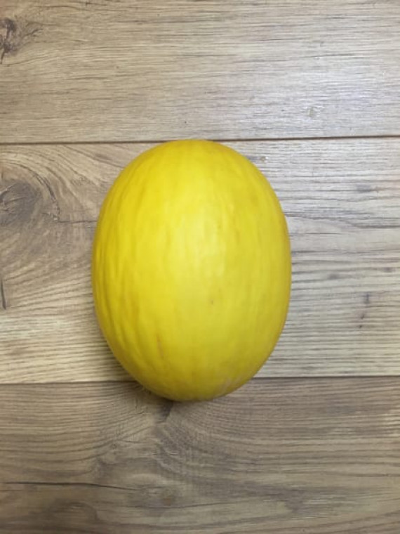 Honeydew Melon (each)