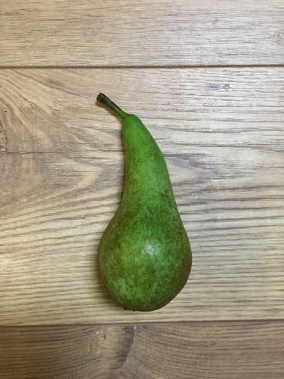 Pear - Best Conference (each)