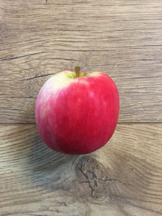 Apple - Pink Lady (each)