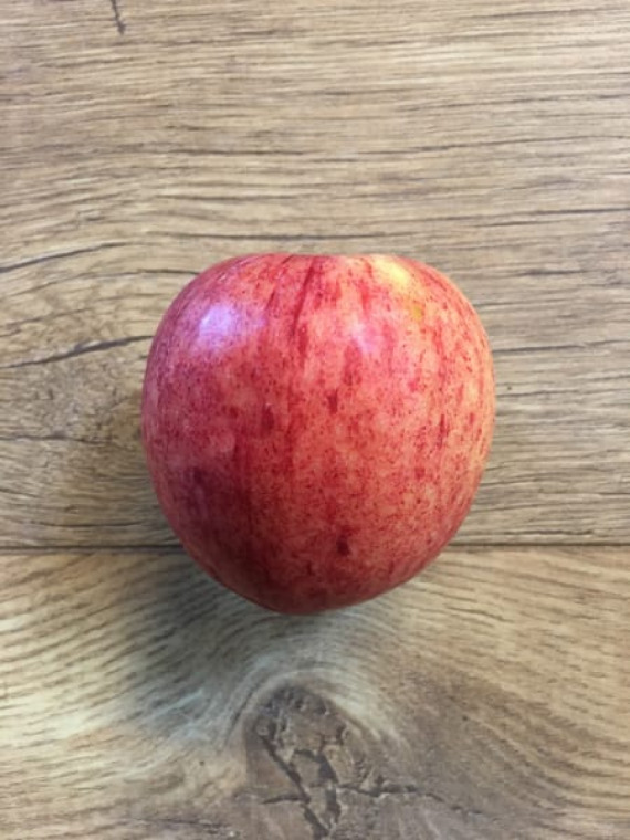 Apple - Royal Gala (each)