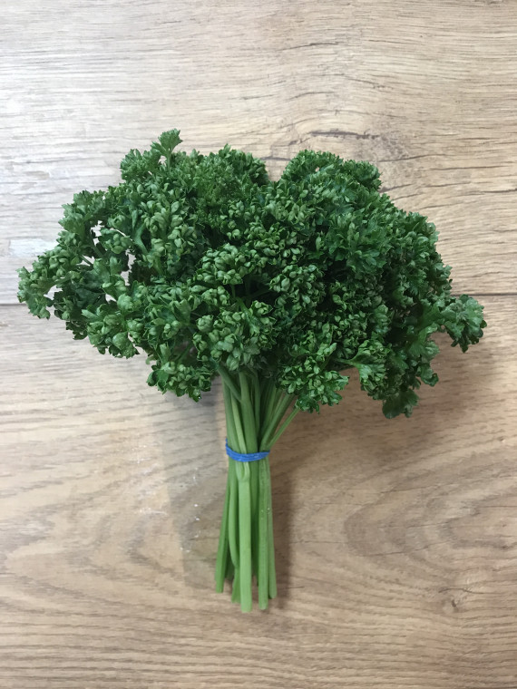 Parsley - Curly (bunch)