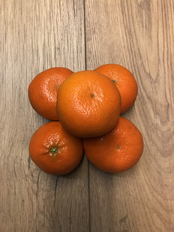 Nadorcotts (Net of 7)